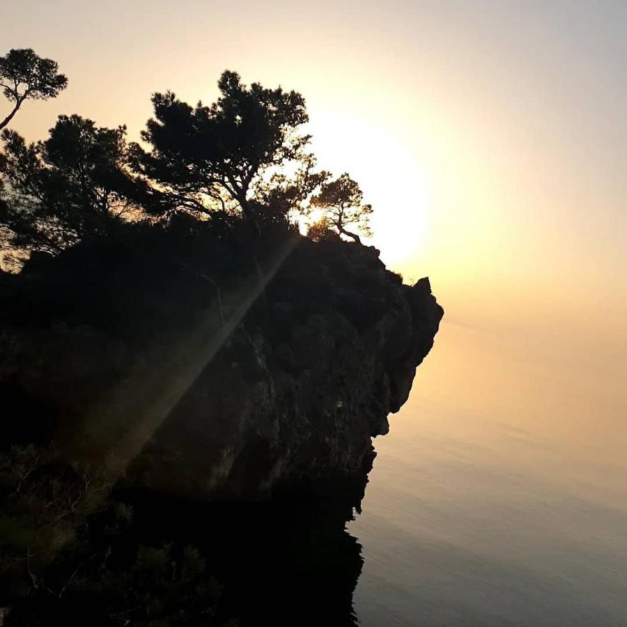 Villa Luka Брела Екстериор снимка